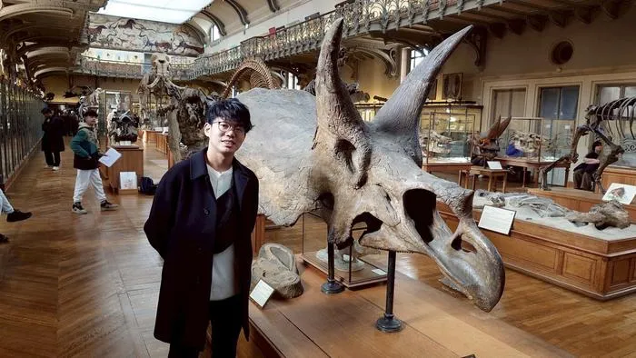 Triceratops skull