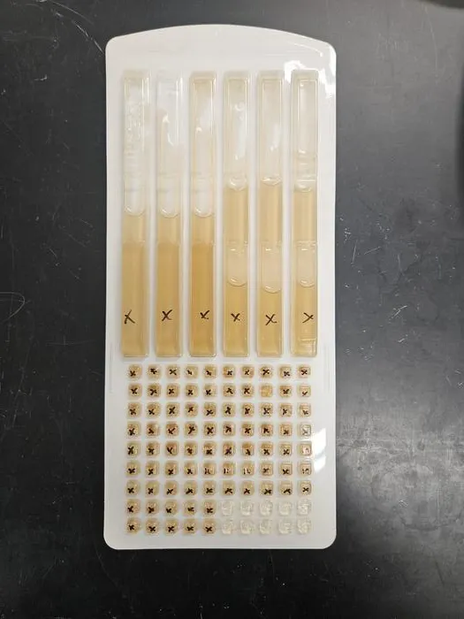 Water Samples