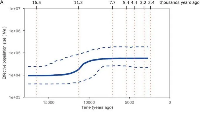 Bayesian skyline plot