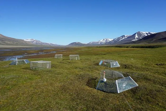 One of the experimental sites