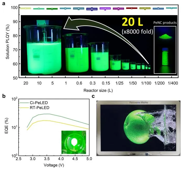 Figure 2. a, a 20-liter large-scale synthesis of perovskite nanocrystals using a ‘Cold-injection’ method. b, High-efficiency perovskite light-emitting diodes with an external quantum efficiency of 29.6%.
