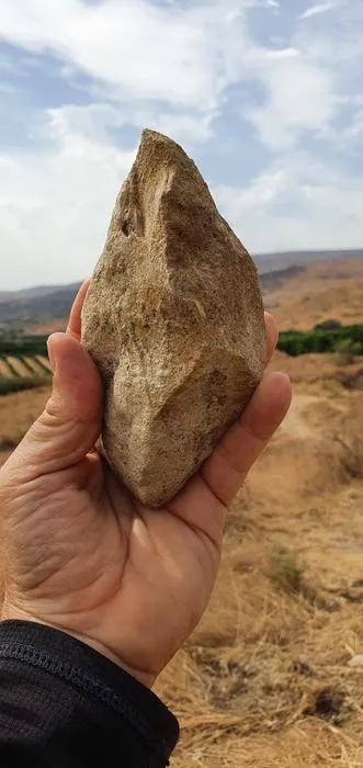A bifacial stone tool from ‘Ubeidiya