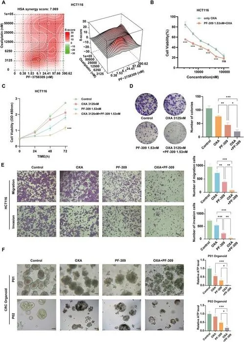 Synergistic effects of PF3758309 (PF-309) and oxaliplatin (OXA) in HCT116 cells.