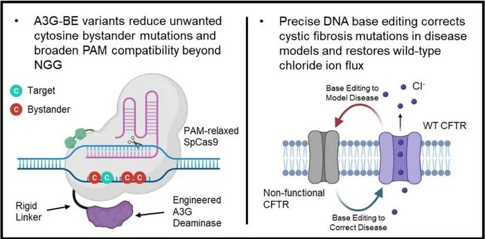 Toward Gene-Editing Treatments for Cystic Fibrosis