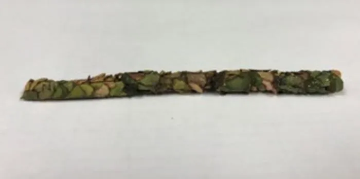 An intact cavity-nesting bee nest extracted from a nesting tube