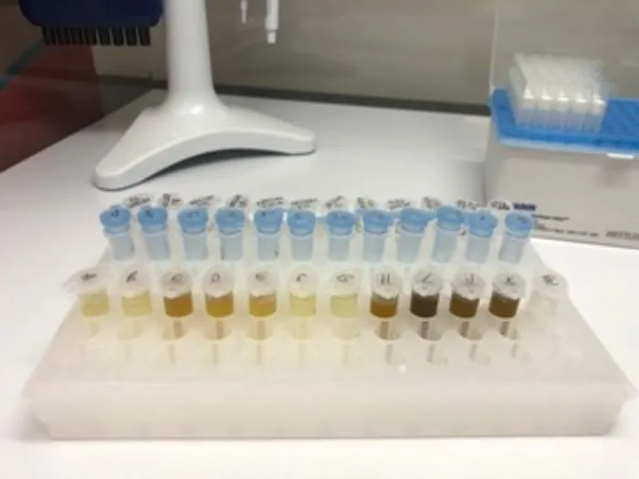 A rainbow of pollen prepared for DNA metabarcoding