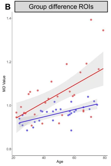 As expert birders age, structural brain changes persist.