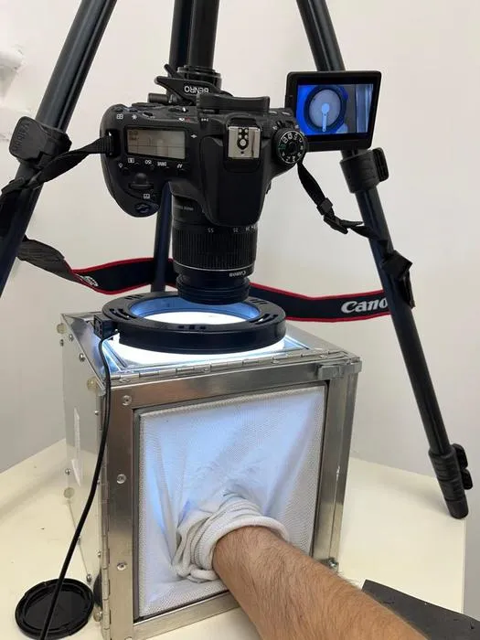 Documentation of female mosquito behavior during exposure to a human hand while testing the repellent mechanism of borneol