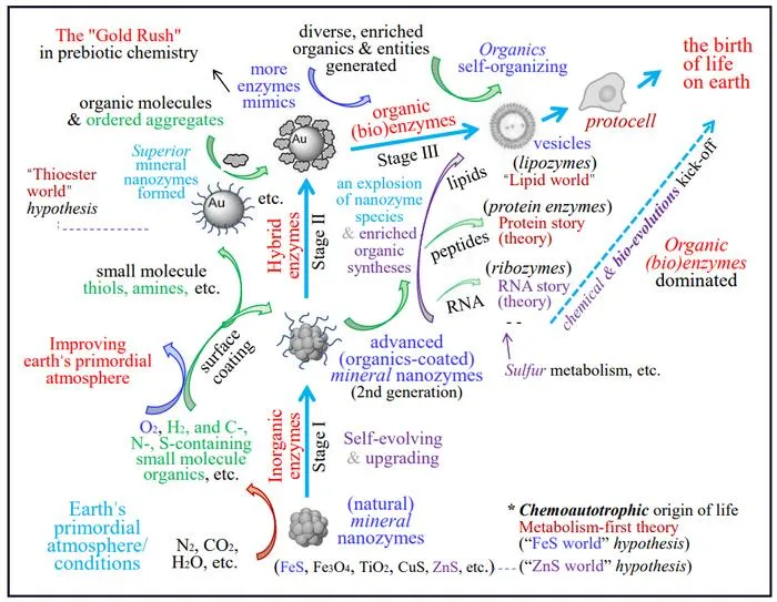 Fig. 3. Presumed chemical origin route and evolutionary family tree of MN-zymes in the OoL on Earth.