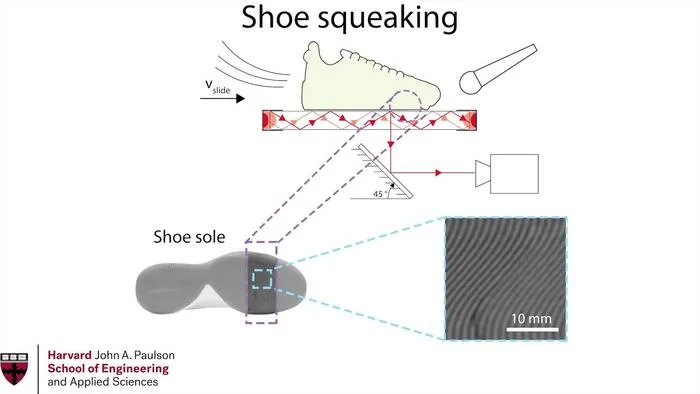shoe interface