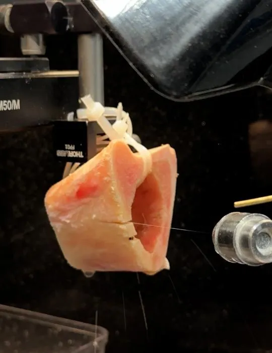 Cooling system for laser bone ablation