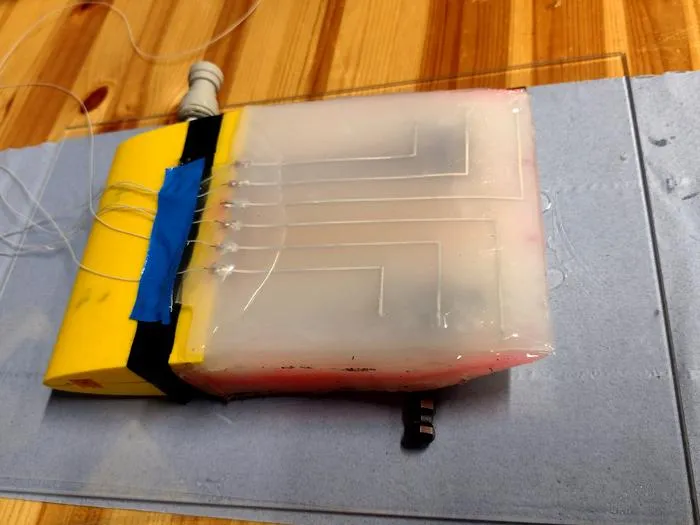 Robotic wing inspired by nature