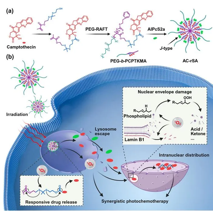 Light-responsive supramolecular nanoassemblies enable efficient nuclear delivery of anticancer drugs.