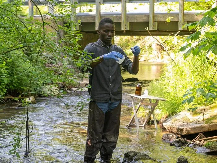 A researcher collects samples in a stream