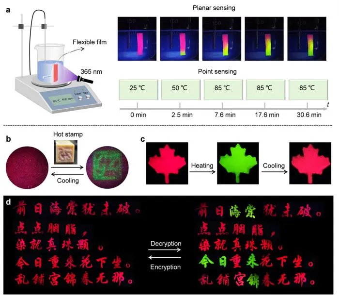 Figure 5 | Diverse application demos.