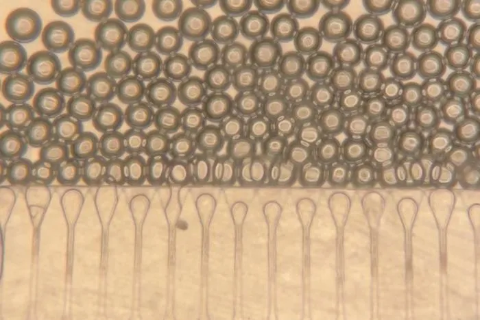 Hydrogel microspheres