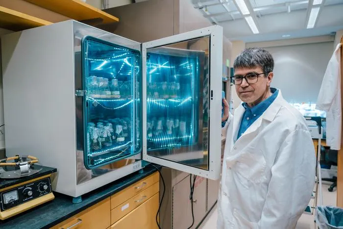 Oberlies in his lab