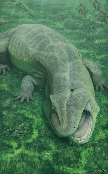 Illustration