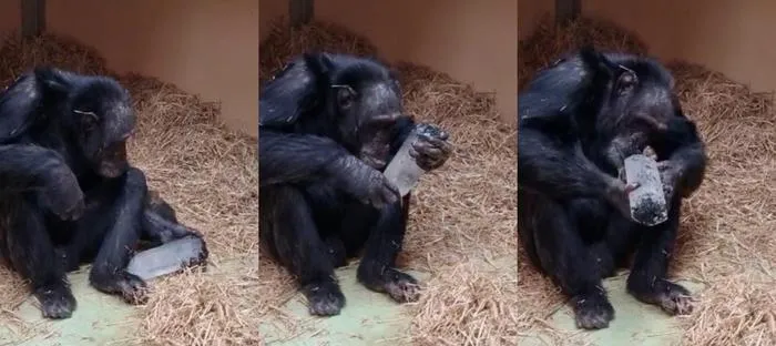Toti examines crystal