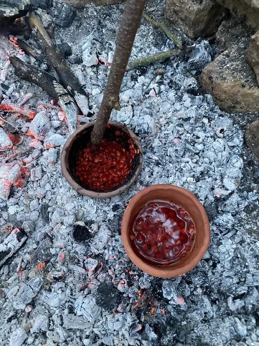 Selective culinary uses of plant foods by Northern and Eastern European hunter-gatherer-fishers