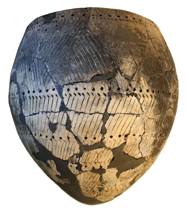 Selective culinary uses of plant foods by Northern and Eastern European hunter-gatherer-fishers