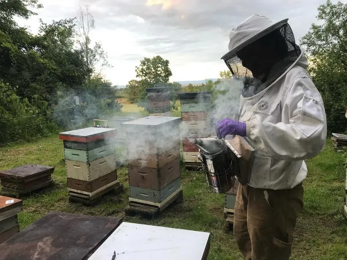 Bee Keepers at UVM working with the hives