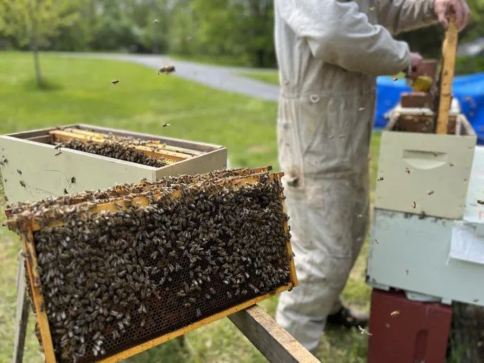 UVM Beekeepers