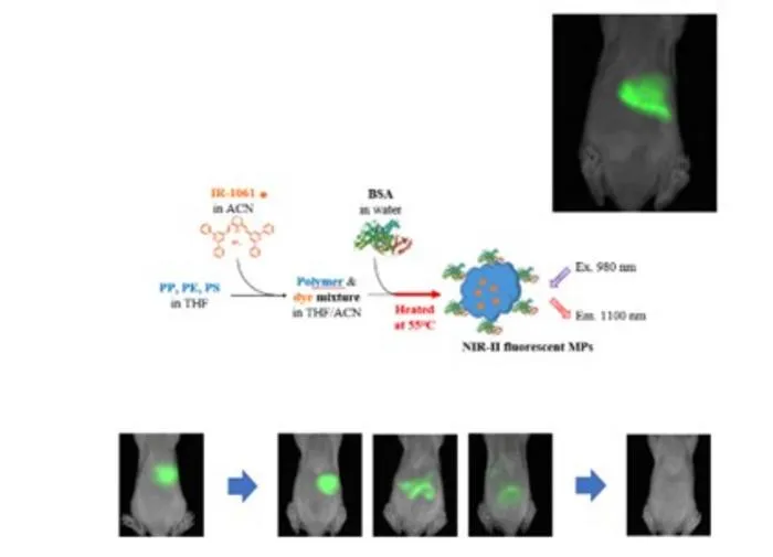 Real-time tracking of microplastics in mice using second near-infrared (NIR-II) fluorescence imaging