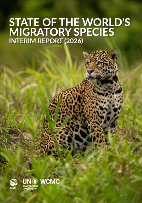State of The World’s Migratory Species: Interim Report 2026