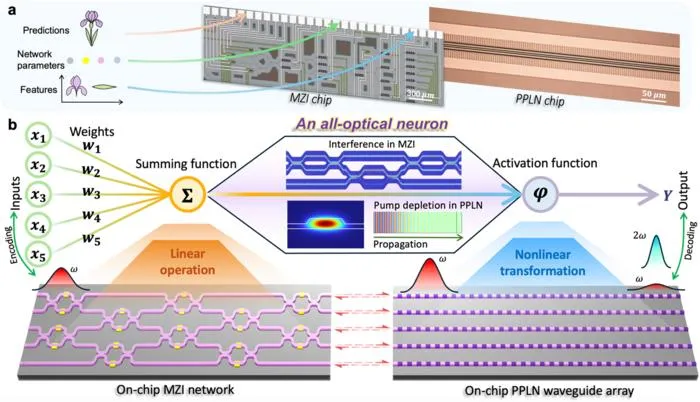 Figure | All-optical neural network architecture.