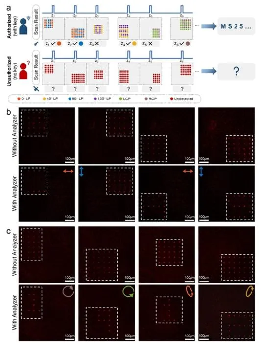 Figure 2 | Depth- and polarization-gated optical encryption through metasurface-generated 3D vectorial light fields.