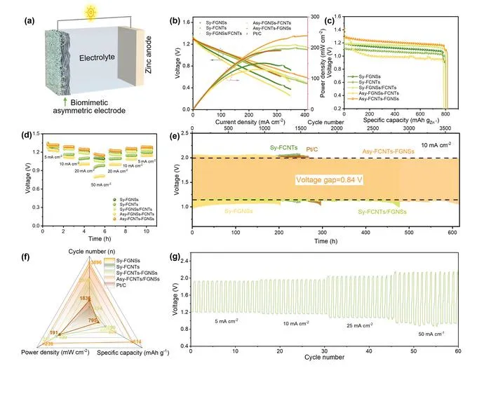 Zn-air battery performance investigation