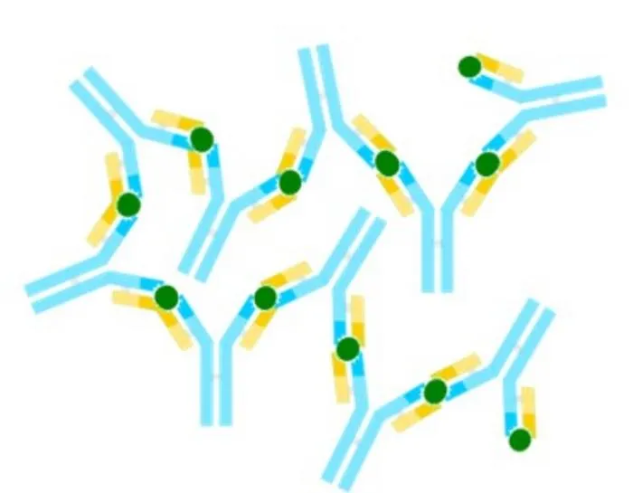 Dual Regulatory Roles of the Kinase NIK in Immunity and Autoimmunity