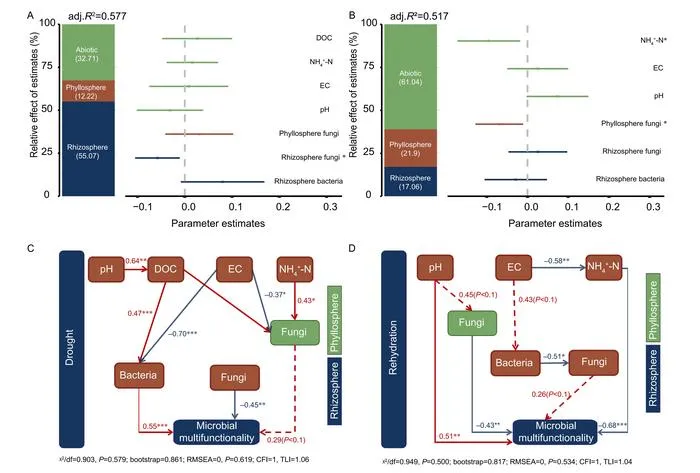 Shifting from biotic to abiotic drivers of urban microbial multifunctionality under drought and rehydration