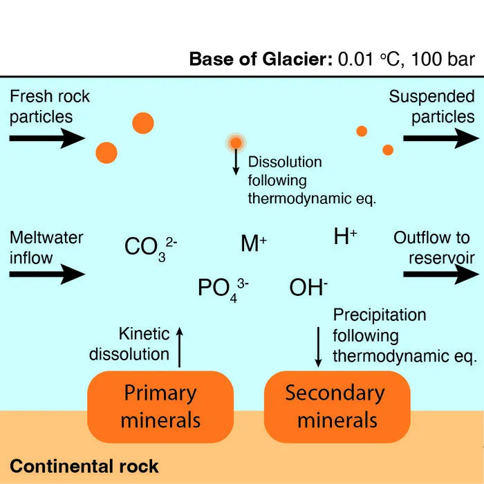 Schematic diagram of subglacial chemical reactions modelled in this study