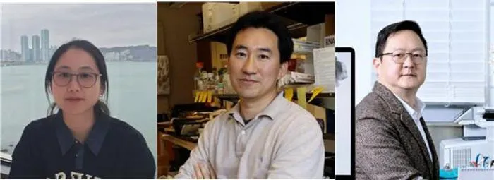 Secret to Drug Addiction Relapse Found: Brain's Addiction Circuit Identified​