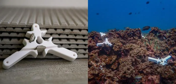 Coral seeding devices