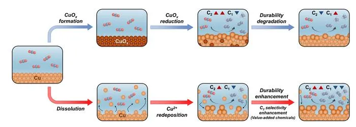 KAIST Develops Self-Regenerating Catalyst That Restores Its Own Performance, Opening a Breakthrough for CO₂ Conversion Technology​