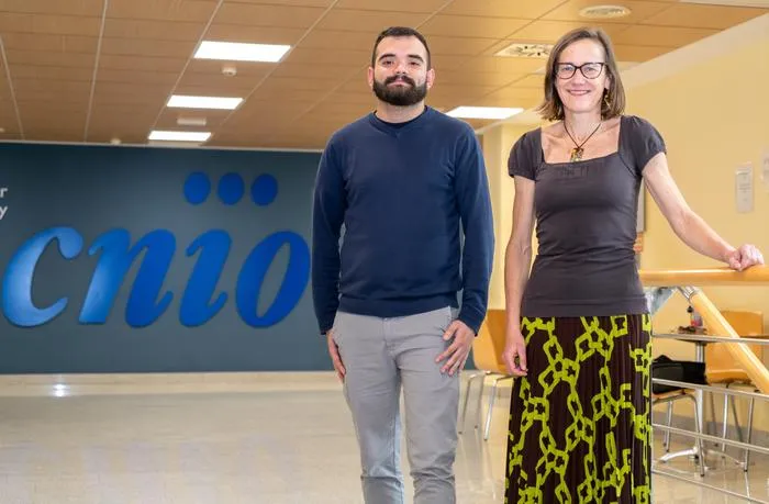 CNIO research links fertility with immune cells in the brain