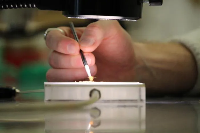 Sorting through flies