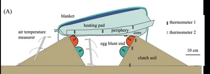 Design of incubation experiments