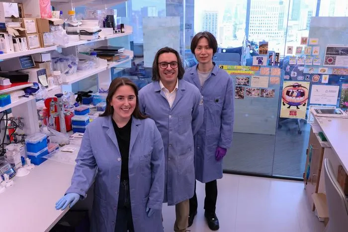 The Researchers