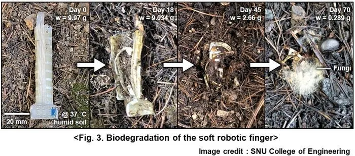 Fig. 3. Biodegradation of the soft robotic finger