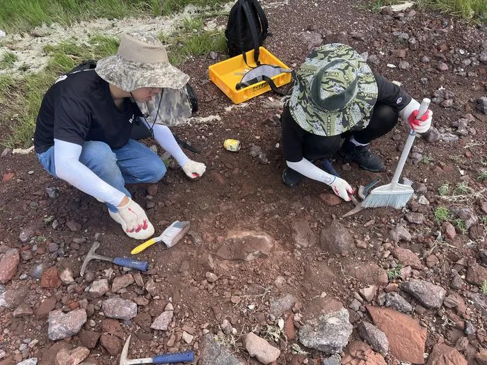 Excavating fossil