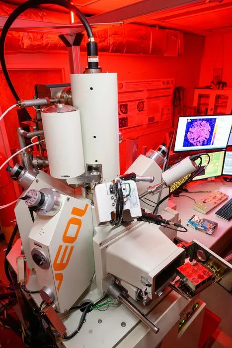 Field-emission JEOL
