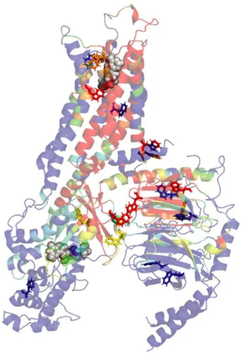Figure 1: Tryptophan-rich allosteric communication network in a GPCR