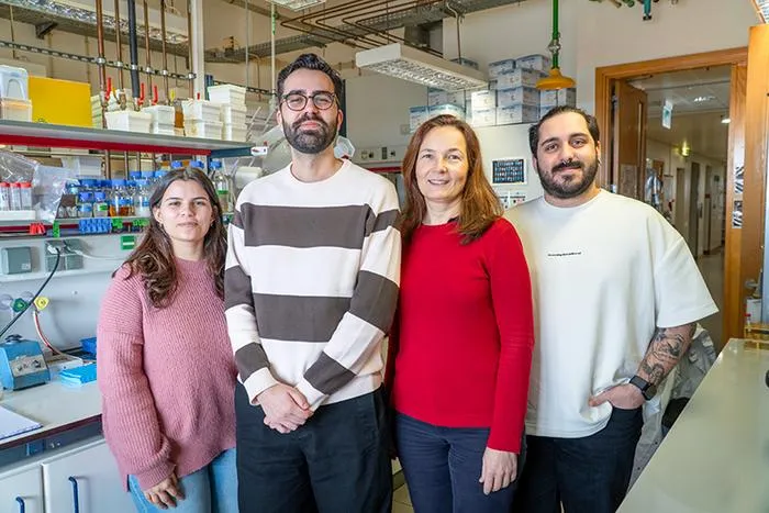 ITQB NOVA Research Team