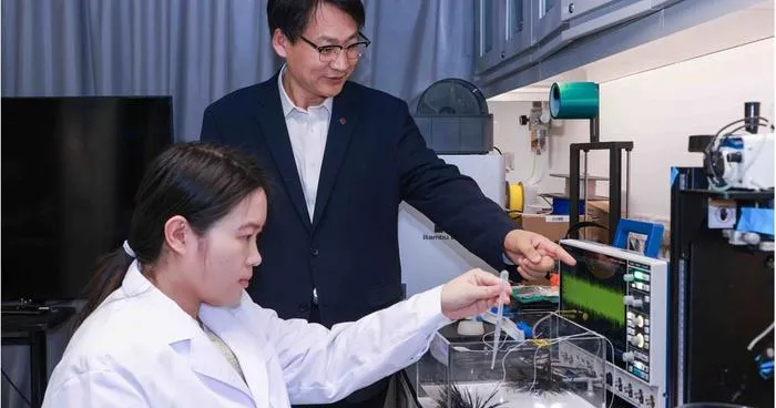 PolyU research unveils mechanoelectrical perception in sea urchin spines, empowering next-generation biomimetic sensors