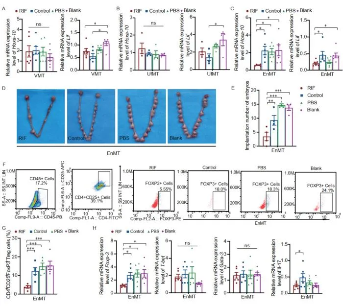 Reproductive tract microbiota affects endometrial receptivity and uterine Treg cells in SD rats.