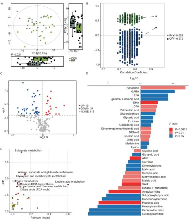 Comparison of the metabolomics of endometrial tissue between the control and RIF groups